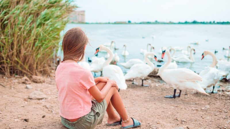 Działka na Warmii – idealne miejsce na budowę domu marzeń