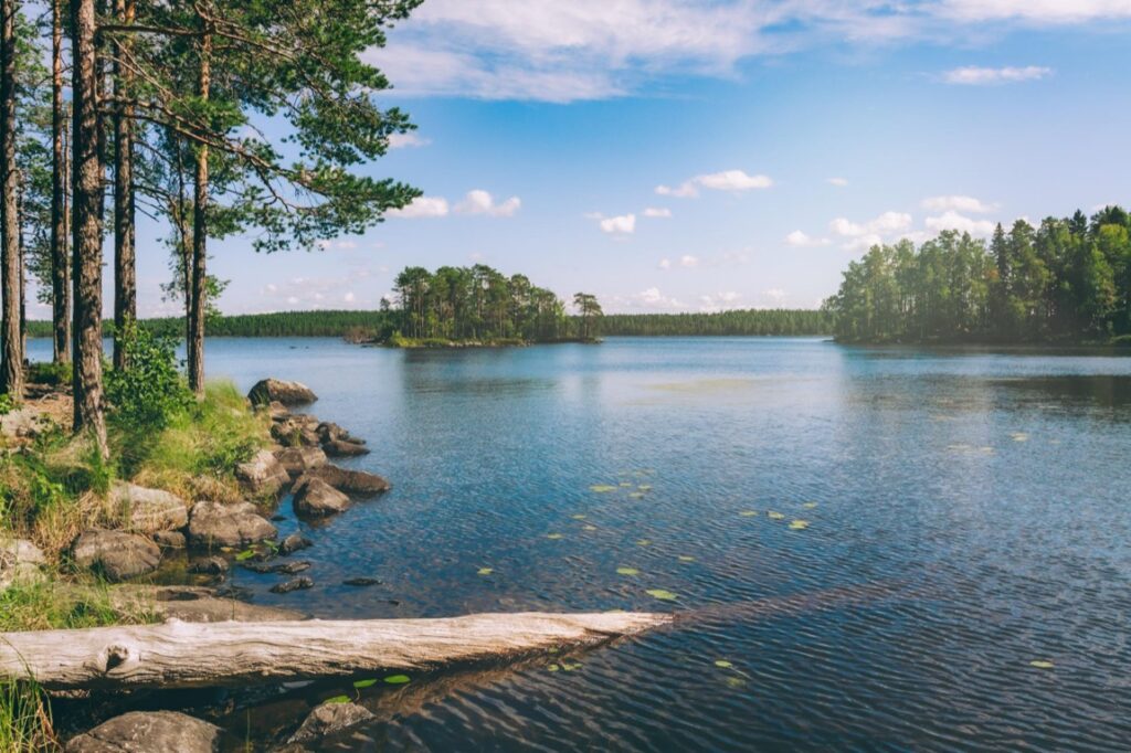 Działka na Warmii, ze względu na swoje położenie, piękno naturalne oraz rosnące zainteresowanie regionem, wydaje się być obiecującą opcją dla inwestorów poszukujących atrakcyjnych perspektyw