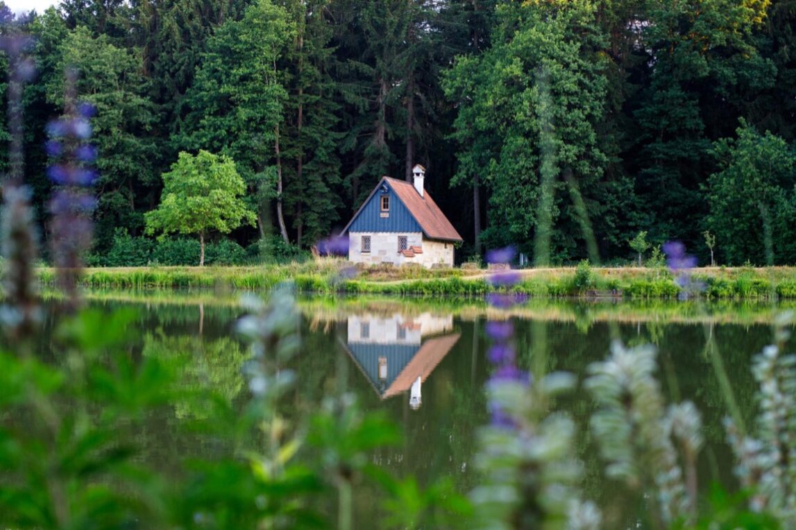 Działka z linią brzegową: idealna inwestycja czy drogie utrzymanie?
